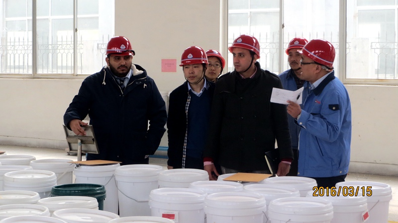 埃及客戶(hù)來(lái)公司